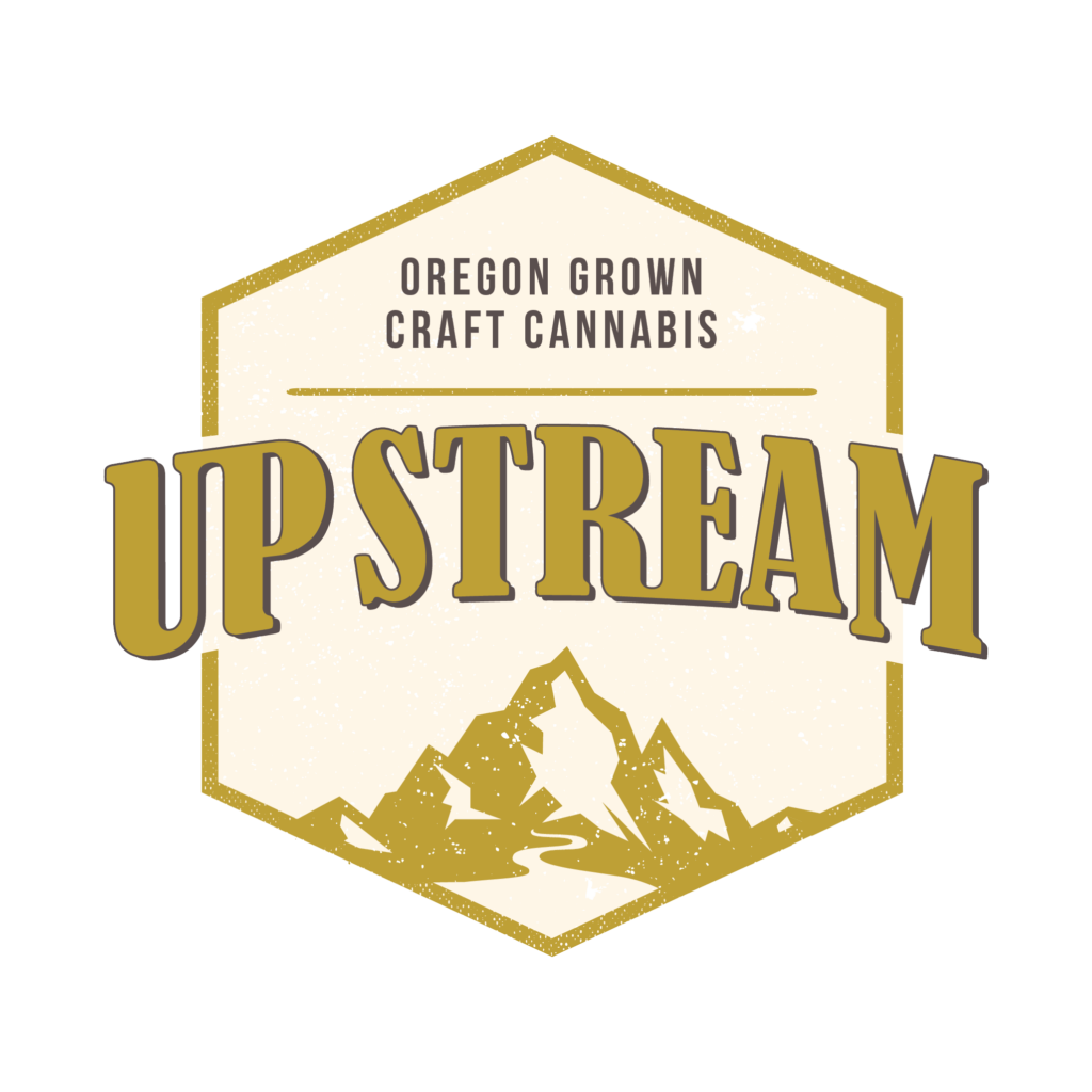 Up Stream Logo