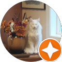 Alexander profile picture